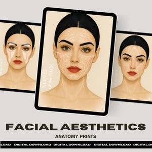 Facial Anatomy Bundle, Botox and Filler, Facial Muscles, Facial Nerves, Facial Arteries, Facial Fat, Aesthetics injectors, Digital Download