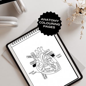 May include: A digital download of anatomy coloring pages. The image shows a spiral-bound notebook with a detailed black and white illustration of a human heart, labeled with anatomical terms. The notebook is on a white surface, with headphones and a plant in the background.