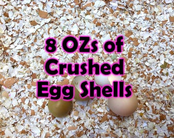 8oz Crushed Egg Shells | Calcium for Isopods, Reptiles, Snails Gardens | Natural Soil & Feed Supplement Bioactive Terrariums Calcium Source