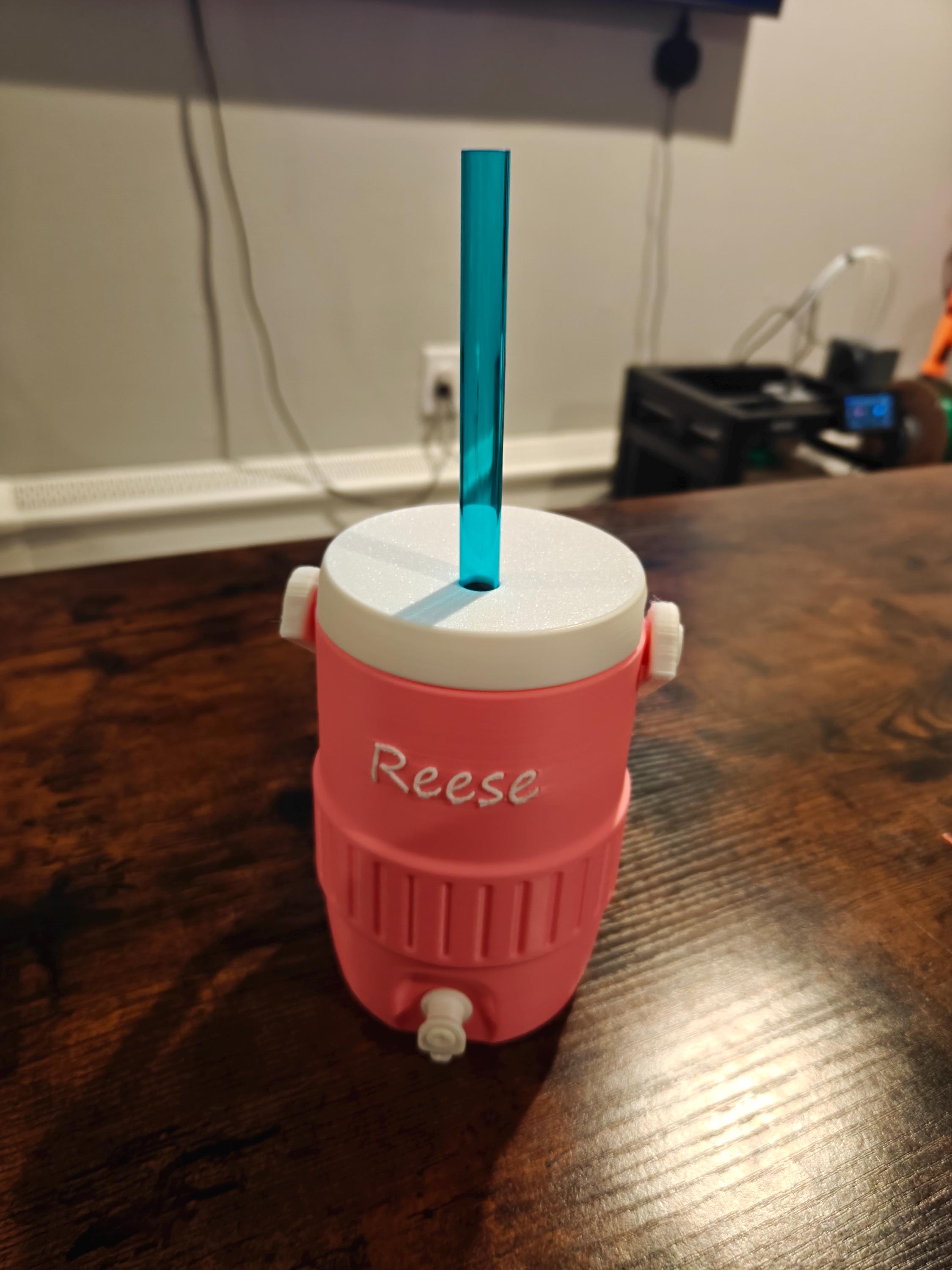 Custom Can Holder - Cola Cooler - Custom Name - 3d Printed - Can Sleeve ...