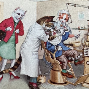 Mainzer Cats * Oficina del dentista * 4960 * Eugen Hartung * Bélgica * Sin usar * Postal vintage * Deckle Edge