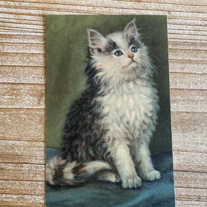 Alma * Alfred Mainzer * portraits de chats * M Babington * chaton gris et blanc * 324 * inutilisé * carte postale vintage