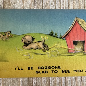 Doggone Cieszę się, że Cię widzę * Kreskówka o psie * Humor * Nieużywane * Stara pocztówka