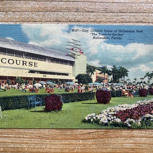 Gay, scène colorée au Gulfstream Park, Hallandale, Floride, 17 mars 1953, timbre oblitéré, carte postale souvenir ancienne