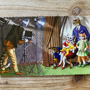 Mainzer Cats * Photo de famille * 4730 * Alfred Mainzer * Eugen Hartung * Espagne * Carte postale ancienne * Deckle Edge