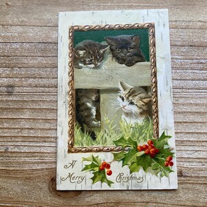 Un Buon Natale, Tre Gattini, Agrifoglio, Bacche, Usato, Antica Cartolina di Natale
