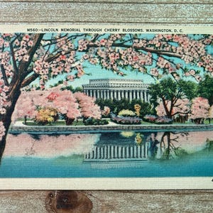 Lincoln Memorial Through Cherry Blossoms, Washington, D C, 1944, timbre oblitéré, carte postale souvenir antique