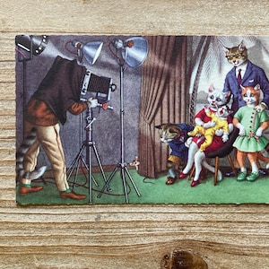 Chats Mainzer * Photo de famille * 4941 * Alfred Mainzer * Eugen Hartung * Belgique * Carte postale ancienne * Deckle Edge