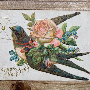 Messages d'anniversaire, Oiseau, Roses roses, Enveloppe, 1909, Timbre oblitéré, Carte postale d'anniversaire ancienne