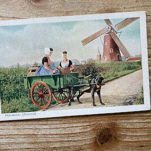 Hondenkar, Zélande, moulin à vent, Pays-Bas, chien de travail, calèche, inutilisé, carte postale ancienne