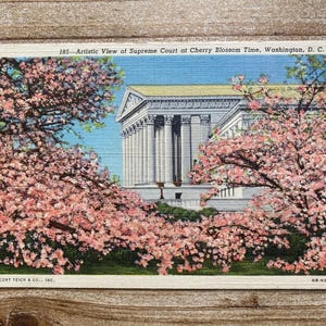 Vue artistique de la Cour suprême à l'époque des cerisiers en fleurs, Washington, D C, 9 juillet 1942, ancienne carte postale souvenir