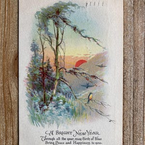 Un nouvel an lumineux, oiseau bleu, lever du soleil, 1er janvier 1918, timbre oblitéré, carte postale ancienne