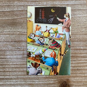 Mainzer Cats * Science Class * Aeronautics * 4749 * Alfred Mainzer * Eugen Hartung * Inutilisé * Carte postale ancienne * Deckle Edge