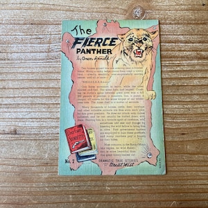 May include: A vintage postcard depicting a fierce panther with the title "The Fierce Panther" by Oren Arnold. The postcard features a map of the Rocky Mountains with a red star marking the panther's location. The text describes the panther's size and hunting habits. The postcard is part of the "Dramatic True Stories of the Great West" series.