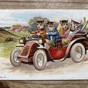 Promenade du dimanche, couples de chats, voiture ancienne, inutilisé, carte postale ancienne