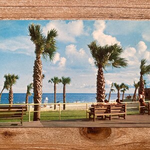 Carte postale souvenir vintage Myrtle Beach, The Pavilion, Floride, inutilisée