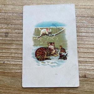 Famille de chats dans la neige, 1905, occasion, carte postale de Noël ancienne