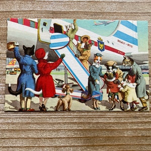 Mainzer Cats * Départ d'avion * 4934 * Alfred Mainzer * Eugen Hartung * Belgique * Inutilisé * Carte postale ancienne * Deckle Edge
