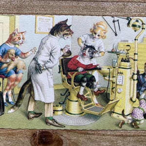 Chats Mainzer * Cabinet de dentiste * 4990 * Alfred Mainzer * Eugen Hartung * Carte postale ancienne