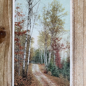 12559 Leslie Avenue, Mackinac Island, inutilisée, carte postale vintage souvenir