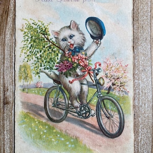 Haid Suwiste Pulu, Chat habillé, Vélo, Fleurs, Neuf, Carte postale ancienne