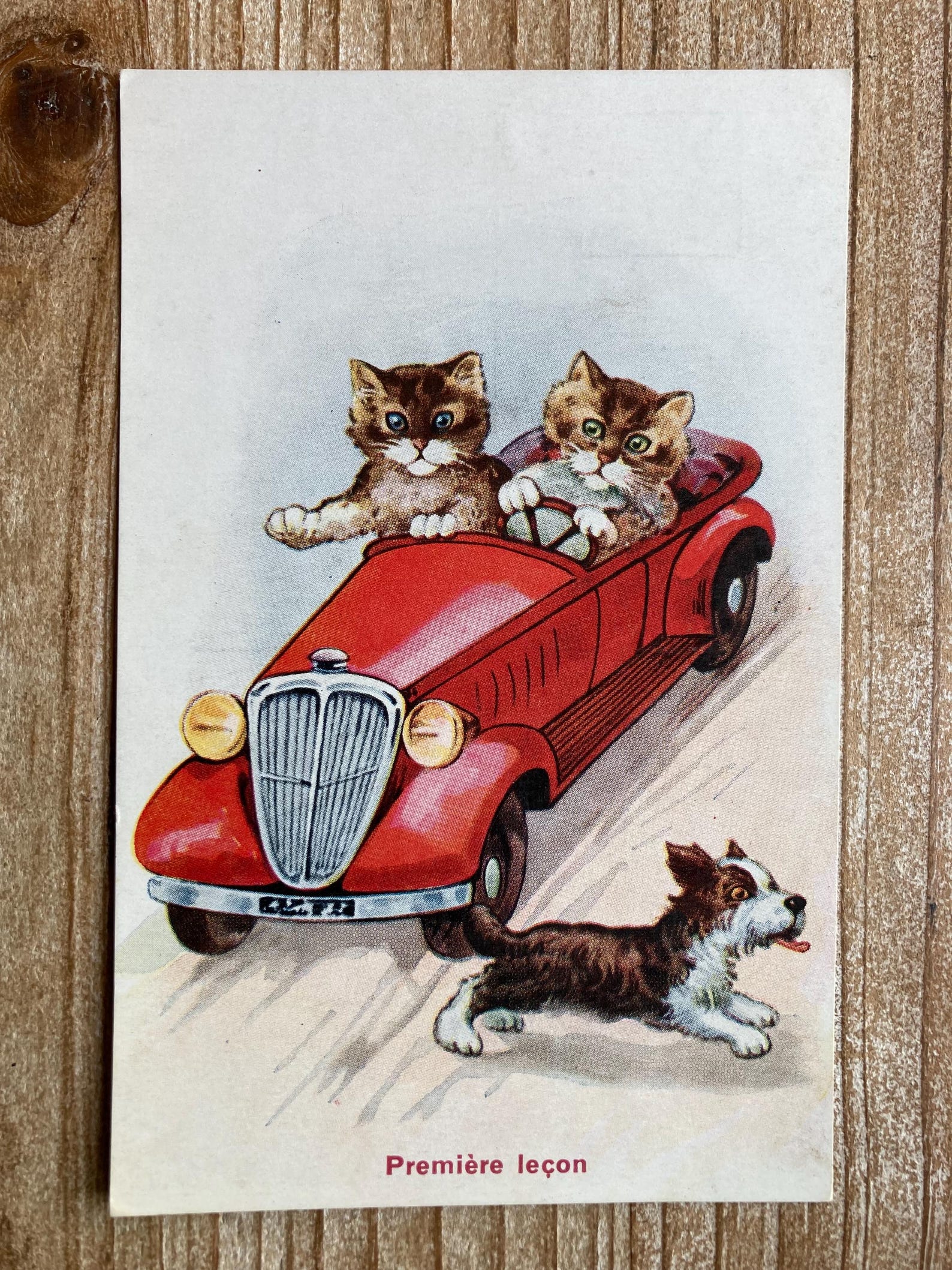 Premier Lecon, Driving Lesson, Cats, Dog, Car, 1936, Used, Antique ...