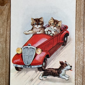 Premier Lecon, Leçon de conduite, Chats, Chien, Voiture, 1906, Occasion, Carte postale ancienne
