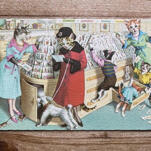 Mainzer Cats, 4933 Carte postale promotionnelle, Neuf, Carte postale