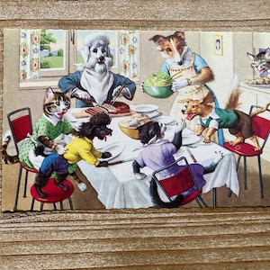 Mainzer Cats * Dîner chien et chat * 4924 * Alfred Mainzer * Eugen Hartung * Belgique * Carte postale ancienne * Deckle Edge