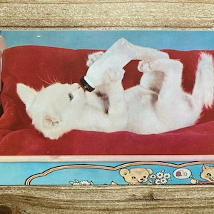 Carte postale vintage Purrfect Bliss, chaton blanc buvant au biberon, vintage