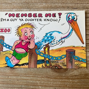 Członek Me? Jestem facetem, którego powinieneś znać, Bocian, Maluch, Kreskówka, Humor, Curteichcolor, Nieużywany, Stara pocztówka