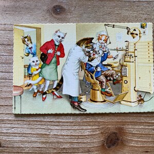 Chats Mainzer * Cabinet de dentiste * 4746 * Alfred Mainzer * Eugen Hartung * Carte postale ancienne * Deckle Edge