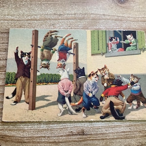 Mainzer Cats * Gym Class Brawl * 4671 * Alfred Mainzer * Eugen Hartung * Max Kunzli * Suisse * Inutilisé * Carte postale ancienne * Deckle Edge