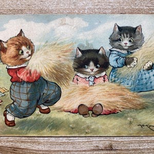 Chats et foin, chatons habillés, vie à la ferme, Kennedy, 1926, oblitérée, carte postale ancienne