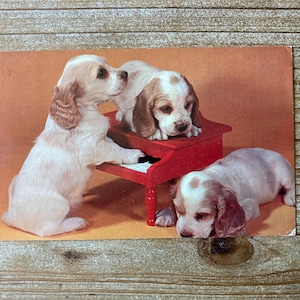May include: Three white and brown puppies playing on a red toy piano. The puppies are sitting on the piano and one is playing the keys.