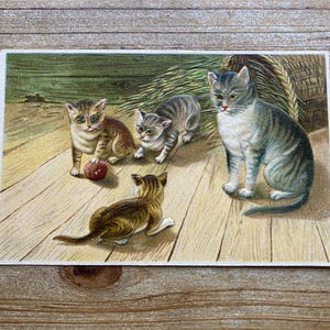 Chats jouant avec une pelote de laine, art populaire, occasion, carte postale ancienne