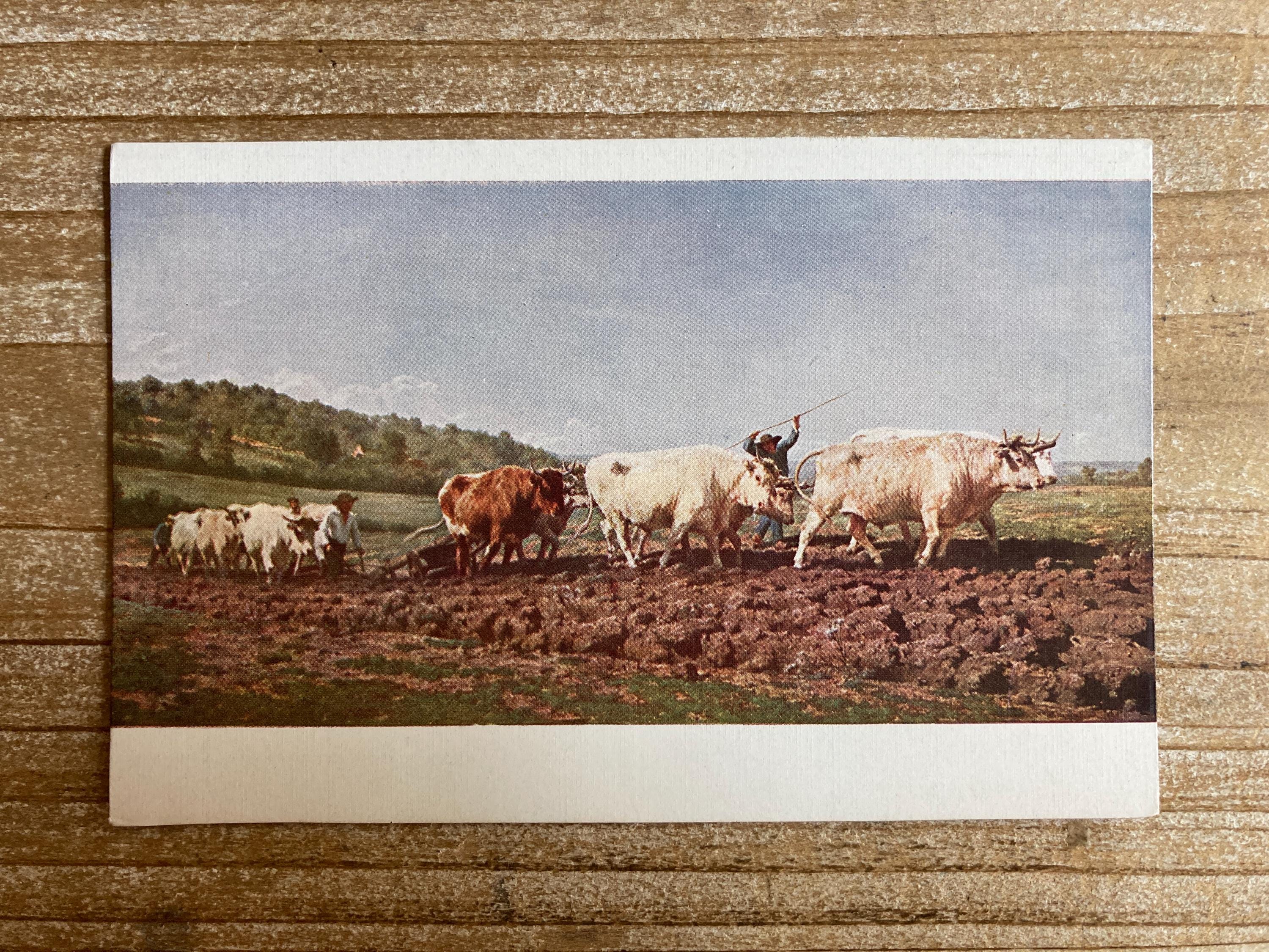 Rosa Bonheur, Labourage, Nivernais, Oxen Ploughing in Nivers