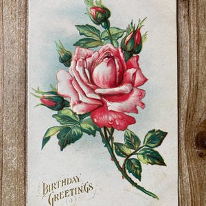 Carte postale d'anniversaire ancienne, Voeux d'anniversaire, Rose rose, occasion