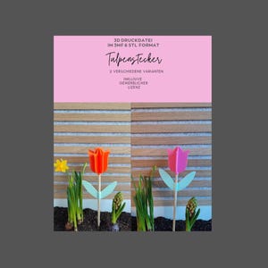 Könnte beinhalten: Auf rosa Hintergrund steht der Text „3D DRUCKDATEI IM 3MF & STL FORMAT“ und „Tulpenstecker“. Zwei Tulpendekorationen, eine orange und eine rosa, mit grünen Blättern und Stielen. Das Bild zeigt ein Frühlingshandwerk.