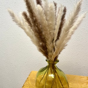 Op de afbeelding: Een boeket gedroogd pampasgras in tinten wit en bruin, gerangschikt in een heldere groene glazen vaas. De vaas staat op een gele tafelkleed.