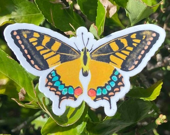 Adesivo farfalla