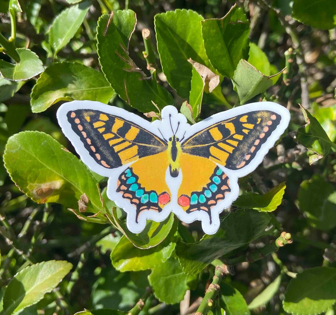 Buttrfly Sticker Butterfly Sticker - Etsy