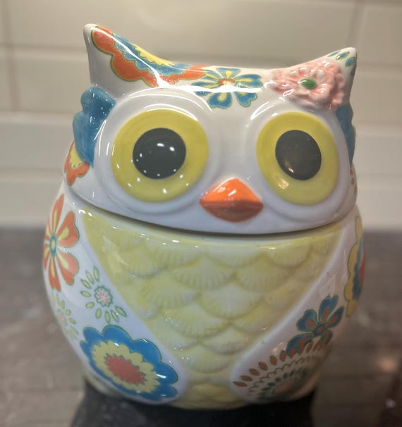 OWL COOKIE JAR, Pier 1 Imports, Hand Painted Floral - Etsy