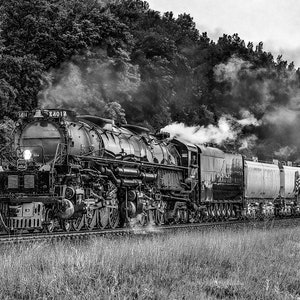 il_300x300.6245170213_cr1q.jpg