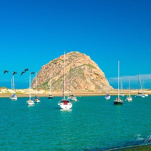 Morro Bay & Black Pelicans Morro Bay Morro Rock California Coast Beach Coastal Print Fine Art Print PCH Hwy 1 Wall Art Home Decor Canvas