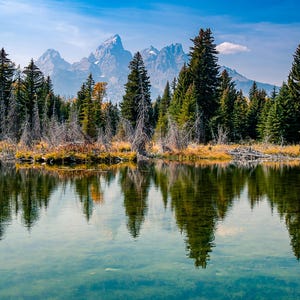 Schwabacher Landung Grand Teton National Park Wyoming Drucke Berge Leinwand Western Landschaft Wohnkultur Herbst Herbst Natur Landschaftlich