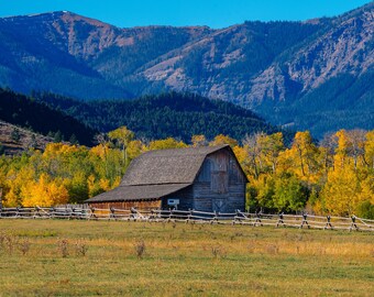 May include: A rustic wooden barn with a gray roof sits in a field surrounded by yellow trees and a mountain range in the background.