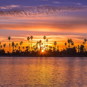 Mission Bay Sunset with Palm Trees - San Diego Fine Art Print - Beach Wall Art