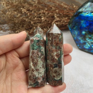 Peut inclure: Deux tours de pierres précieuses polies avec un mélange de motifs bruns, verts et blancs. Les cristaux sont tenus dans une main, avec un arrière-plan flou avec des plantes séchées et un cristal bleu et vert.