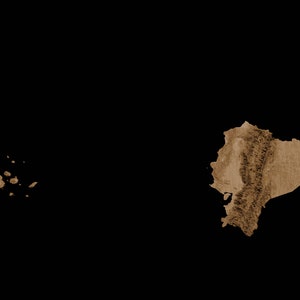 May include: A brown outline of Ecuador on a black background.